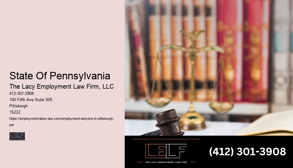 Employment Lawyer